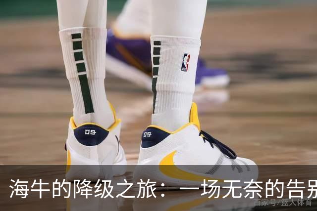 海牛的降级之旅：一场无奈的告别